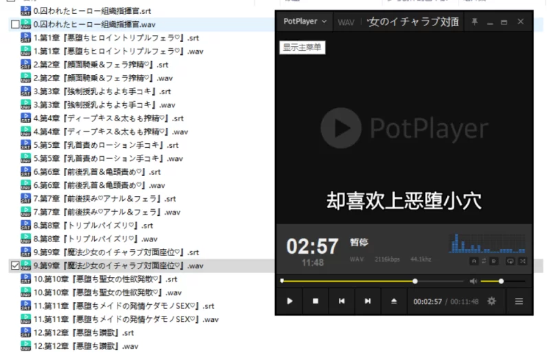 ASMR [逆推]被恶堕化的女主角们拖入快乐沼泽的逆推生活～【12音频+6G】