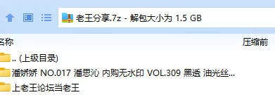 国产模特 潘娇娇(潘思沁)  内购 VOL.309 黑透 油光丝滑连体丝袜【88P+1.48GB】