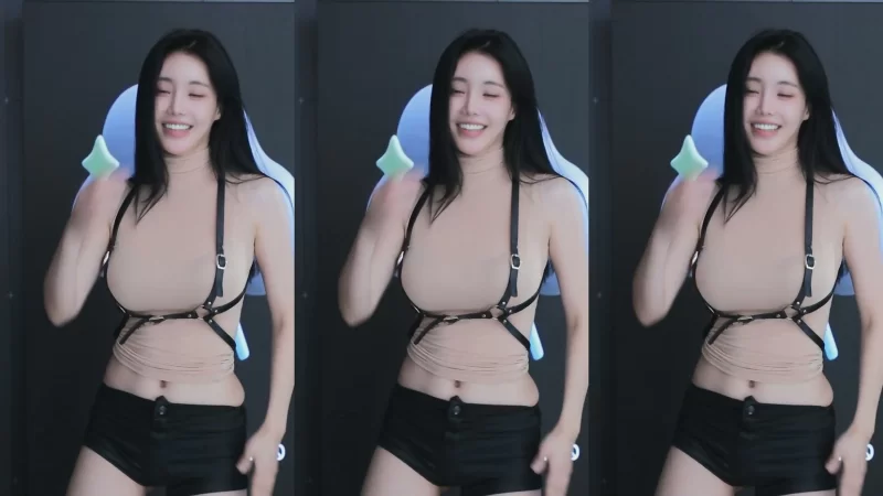 日韩主播 [自录]韩国美女主播BJ 타미미♥塔米米 近期热舞合集【16v+1.6g】