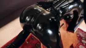 合集 SM调教[reflective desire]胶衣 捆绑 调教 BDSM艺术集天花板01【70V+3482P+13G】