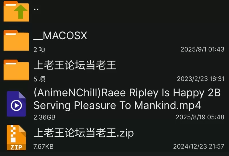 高颜值 (AnimeNChill)(Raee Ripley)2B乐享于服侍人类【1v+2.36g】