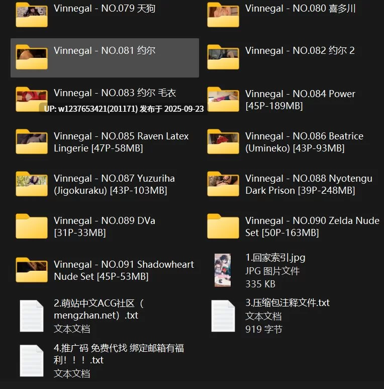 其他coser 欧美极品Coser[Vinnegal ] 91套 COSER写真作品合集[5G]【1+5G】