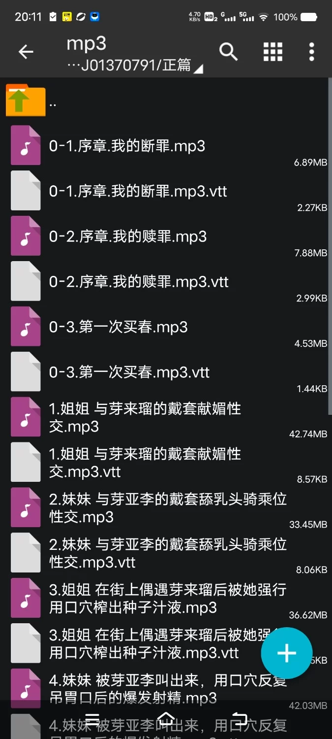 ASMR [简体中文版]有隐情的爆乳援交姐妹的忧郁～请用野兽般的交尾教会我什么是爱【6V+200M】