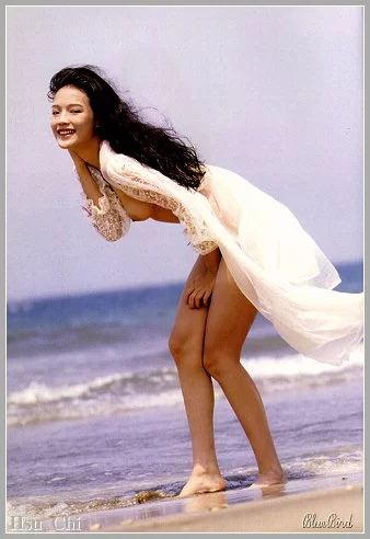 唯美写真 舒淇早期大尺度写真与视频合集【14v579p+34.8G】