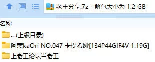 福利姬 阿薰kaOri NO.047 卡提希娅【178P4V+1.19G】