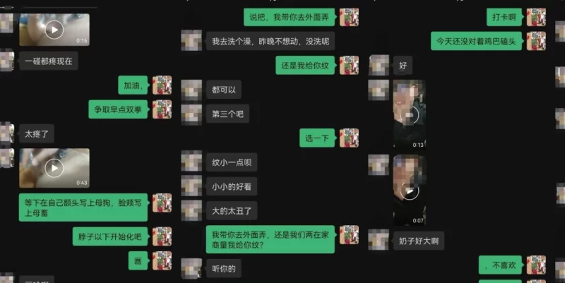 SM 超级调教虐待母狗 二月 拳交虐待sm【276v+2.1G】