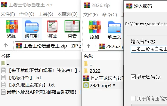 高颜值 [高清修复]索菲・穆恩 安东妮娅 厄尔泽贝特拳交【1v+3.6G】