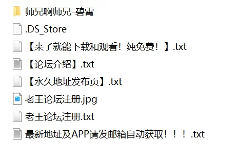 有撸点 师兄啊师兄-碧霄【60P+578M】