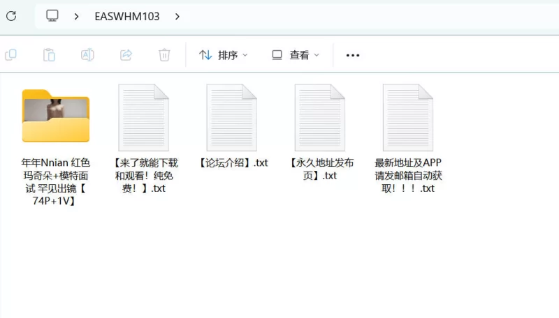 漏点 年年Nnian - 红色玛奇朵+模特面试罕见出镜视频【74P+1V+456M】