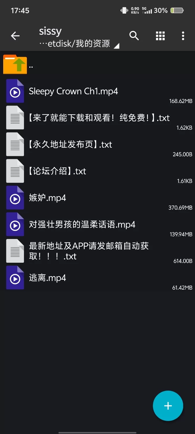 ASMR 汉化的雌堕小视频【4v+1.5g】