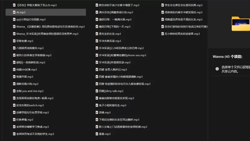 ASMR wnana 合集【43部+1g】