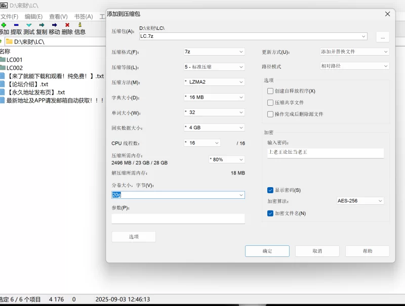 91大神 主人的任务 商场/马路/餐厅/公园各种露出【330v+36g】