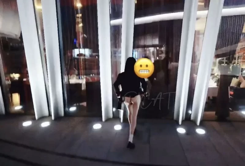 91大神 主人的任务 商场/马路/餐厅/公园各种露出【330v+36g】