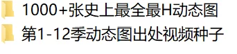 合集 H动态图及其种子【1000V+2GB】