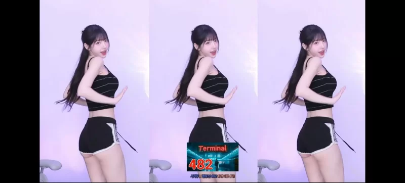 日韩主播 韩国BJ 2025年8月28日已发布【nv+12.05g】