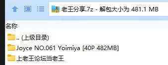 福利姬 Joyce NO.061 Yoimiya【40P+482MB】