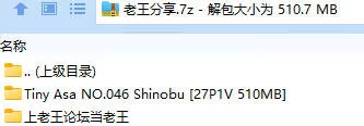 福利姬 Tiny Asa NO.046 Shinobu【27P1V+510MB】