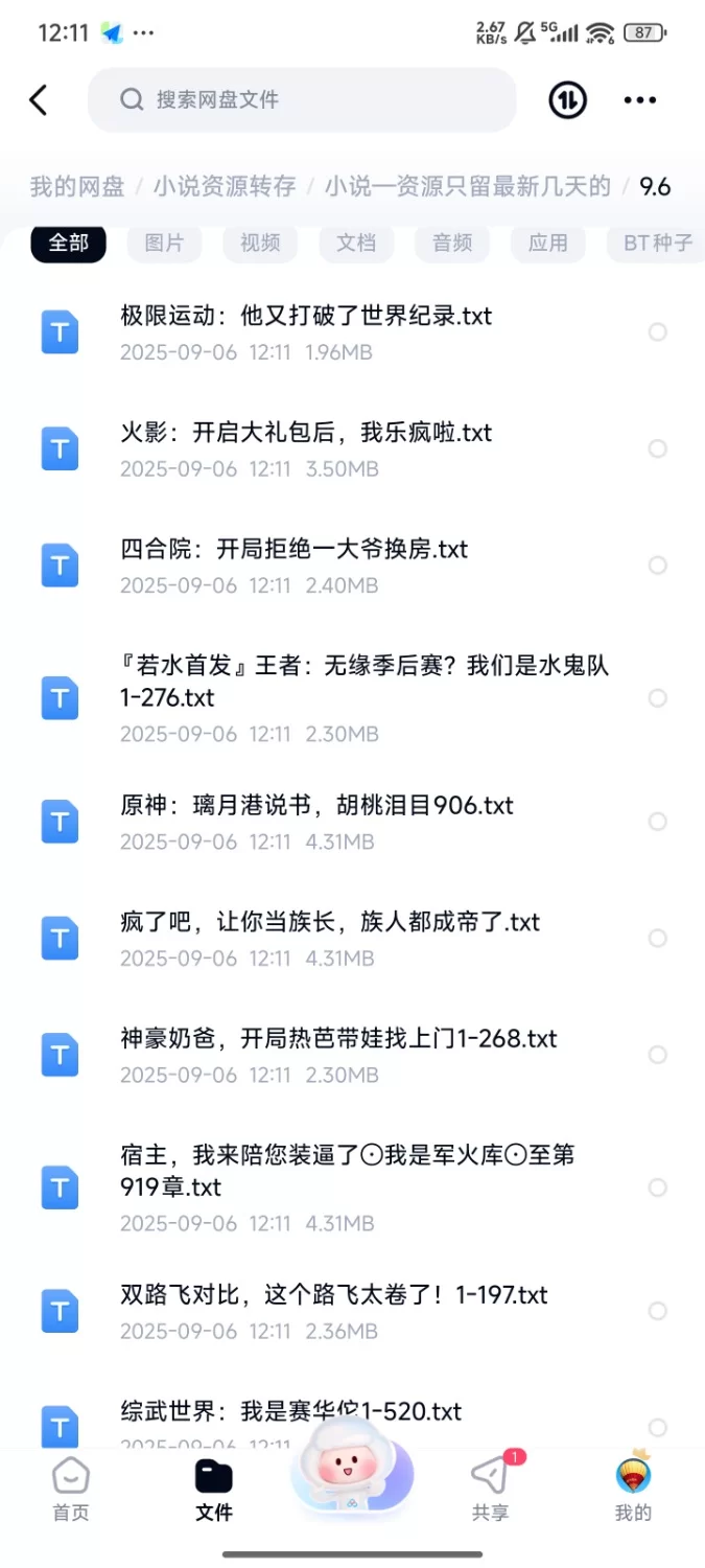 合集 飞卢刺猬猫菠萝包起点次元姬等网站小说合集9.6分享【+82m】