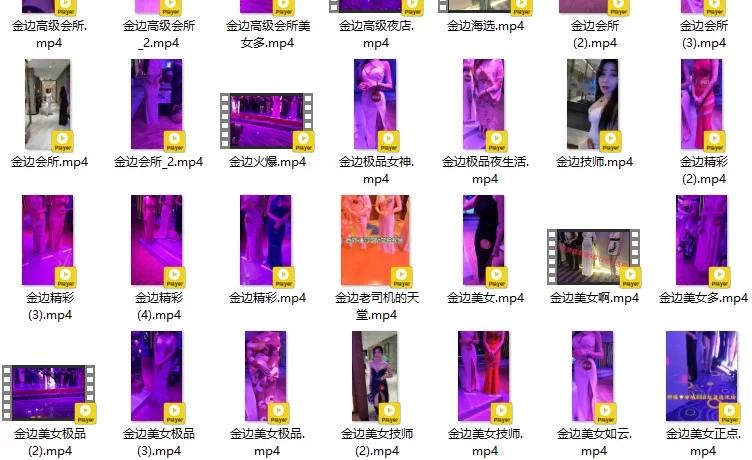 会所嫖娼类 电报整理东南亚KTV选妃现场视频【447v+3.2G】