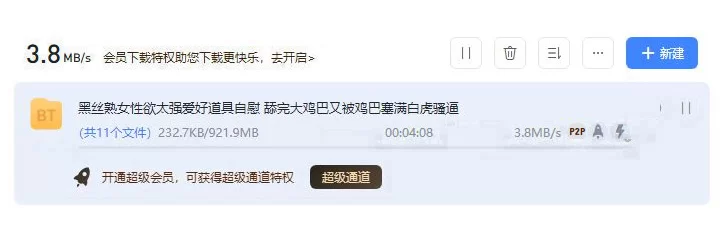 熟女少妇 黑丝熟女性欲太强爱好道具自慰 舔完大鸡巴又被鸡巴塞满【1V+925M】
