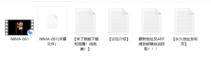 剧情 NIMA-061  FANZA 爆款同人漫画 新人OL的忧郁 实战突袭陪睡篇【1v+4.88G】