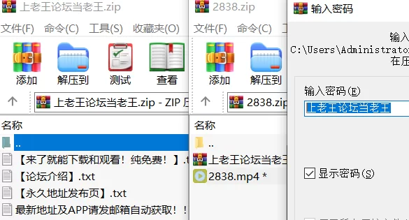高颜值 [高清修复]布里・丹尼尔斯 — 我最好的消遣【1v+1.5G】