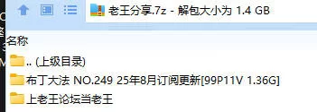 福利姬 布丁大法 NO.249 25年8月订阅更新【99P11V+1.36G】