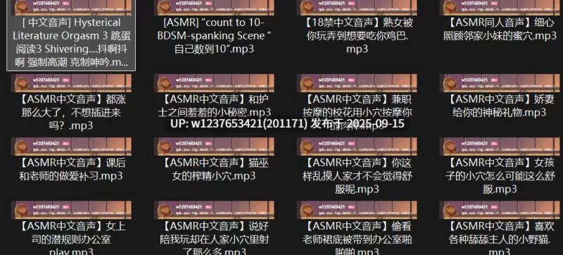 ASMR [百度盘]P站ASMR录音中文音声合集[1.08G]【1+965m】