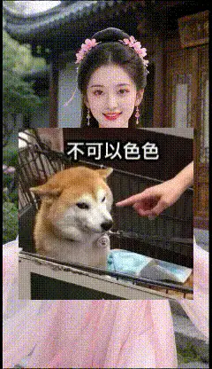 虚拟人 图生视频三（内附图生视频教程）【2P2V+20M】