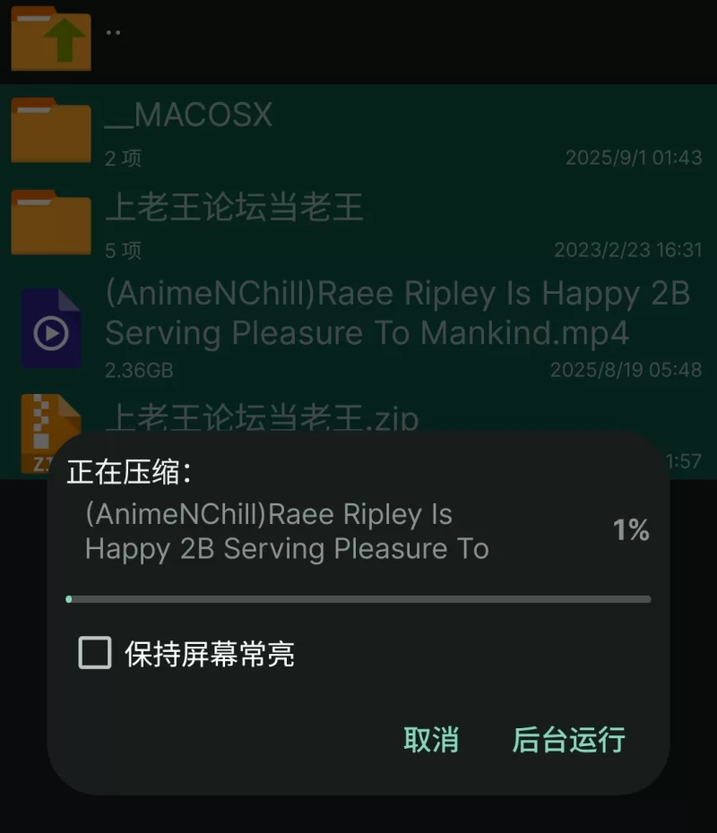 高颜值 (AnimeNChill)(Raee Ripley)2B乐享于服侍人类【1v+2.36g】