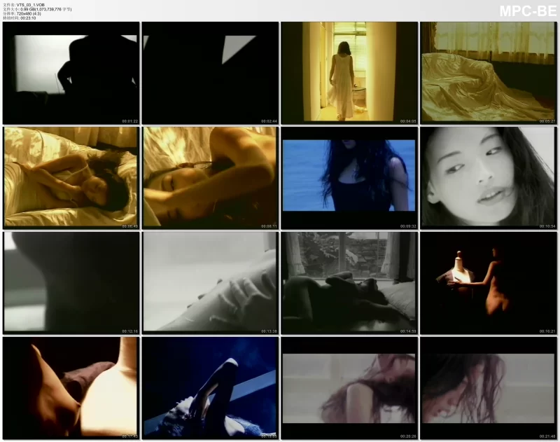 唯美写真 舒淇早期大尺度写真与视频合集【14v579p+34.8G】
