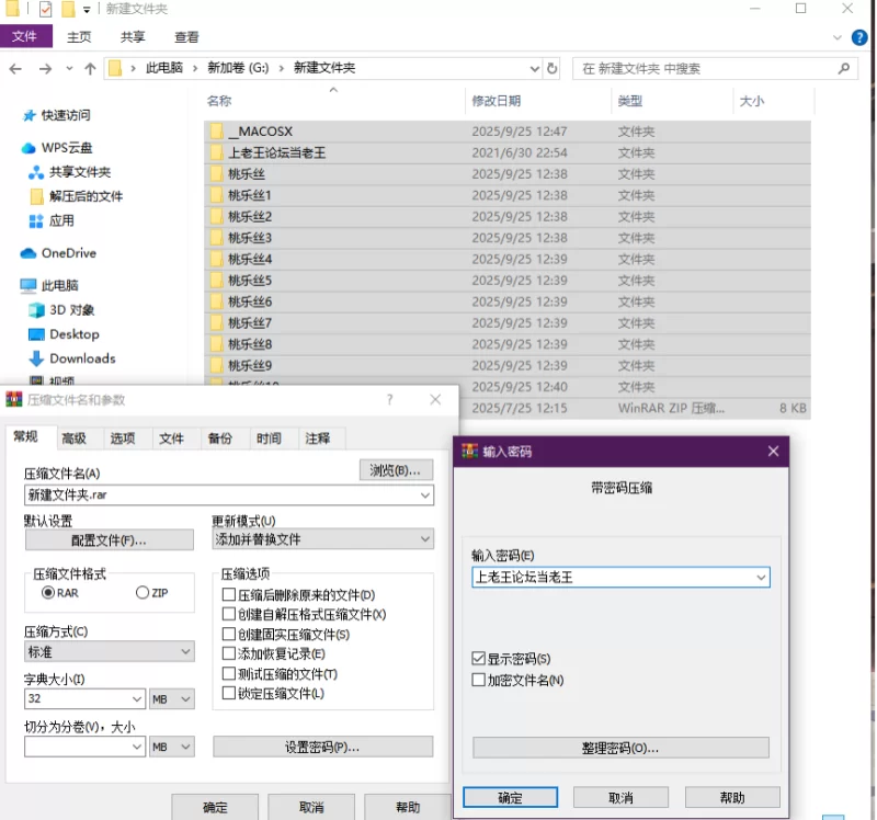 虚拟人 NIKKE  桃乐丝小合集【11本+2.6G】
