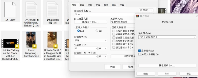 合集 P站打包小合集20【10v+1.18g】