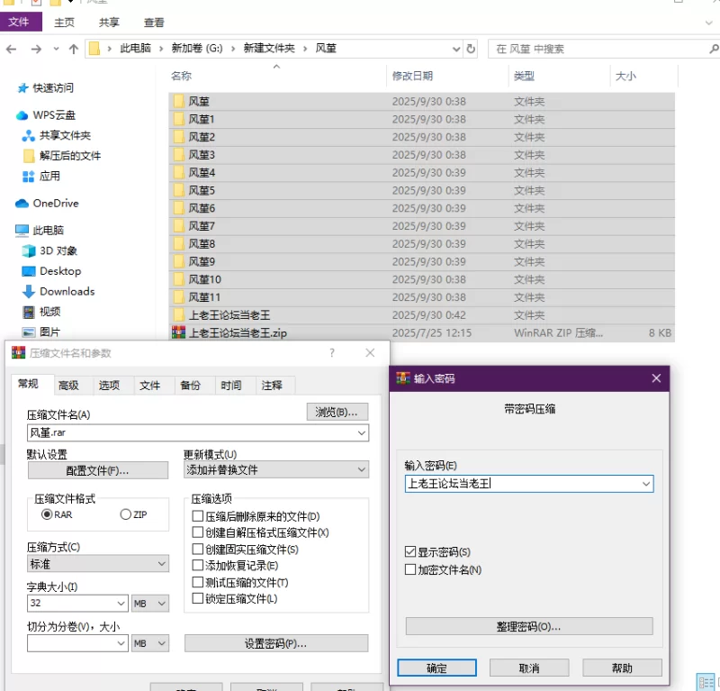 有撸点 星铁 风堇小合集【12本+2.06G】