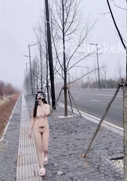 91大神 主人的任务 商场/马路/餐厅/公园各种露出【330v+36g】