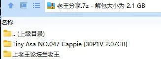 福利姬 Tiny Asa NO.047 Cappie【30P1V+2.07GB】