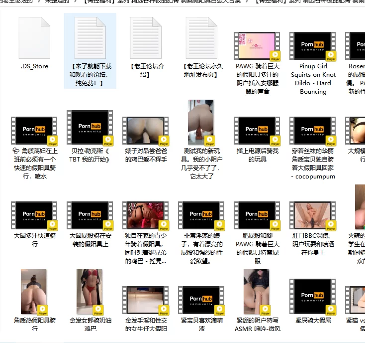 合集 [臀控福利]系列 精选各种极品肥臀 骑乘假阳具自慰 第4弹【132V+19G】