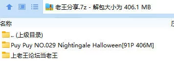 福利姬 Puy Puy NO.029 Nightingale Halloween【91P+406M】