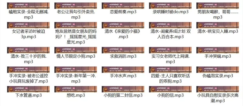ASMR 摇摇星光中文音声67部合集[1.17G]【1+1.17G】