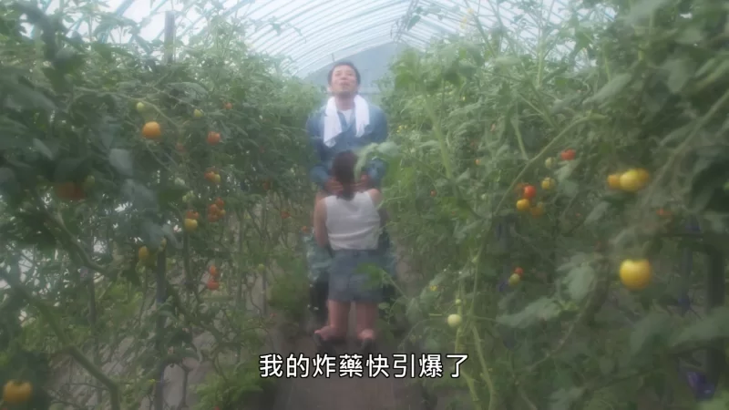 韩国 电影《乡下人妻好吃精》-【V1+14,G】