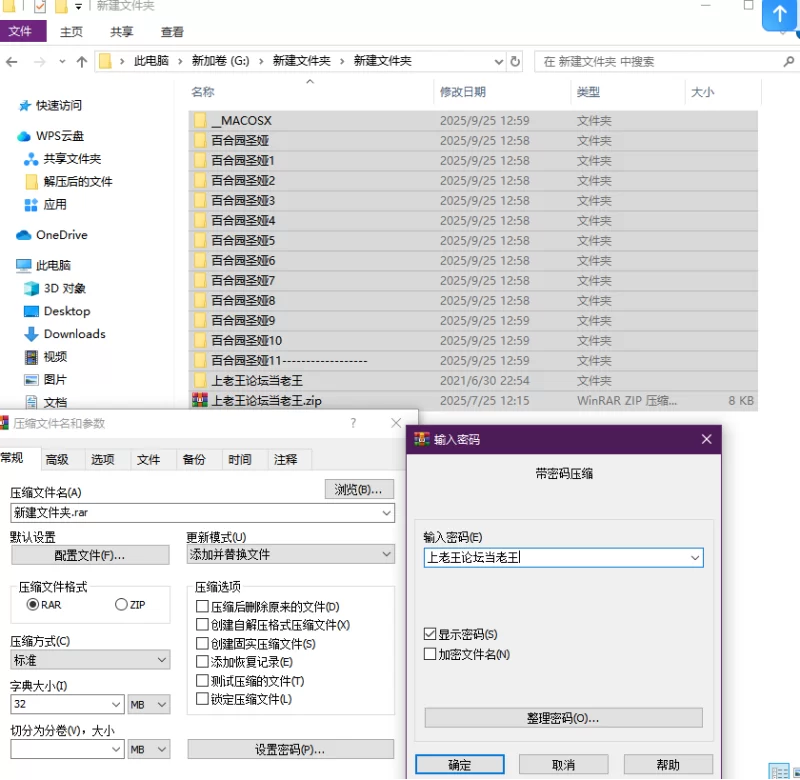 虚拟人 碧蓝档案 百合园圣娅小合集【12本+1.32G】