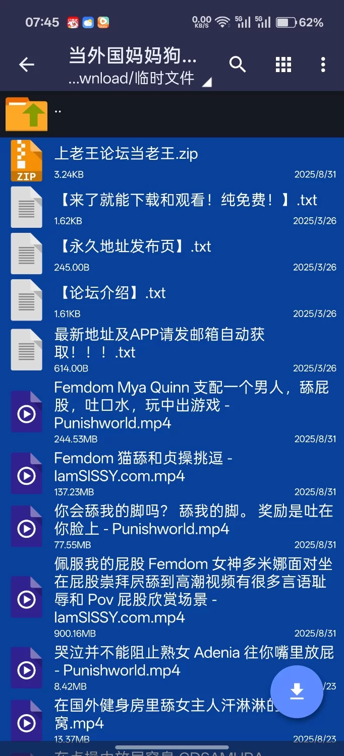 SM 外国女王调教m男口舌合集/舔腋/恋腋/口舌侍奉/男奴/女王/女S男M/舔屁眼/舔穴/恋物癖【28v+7.99G】