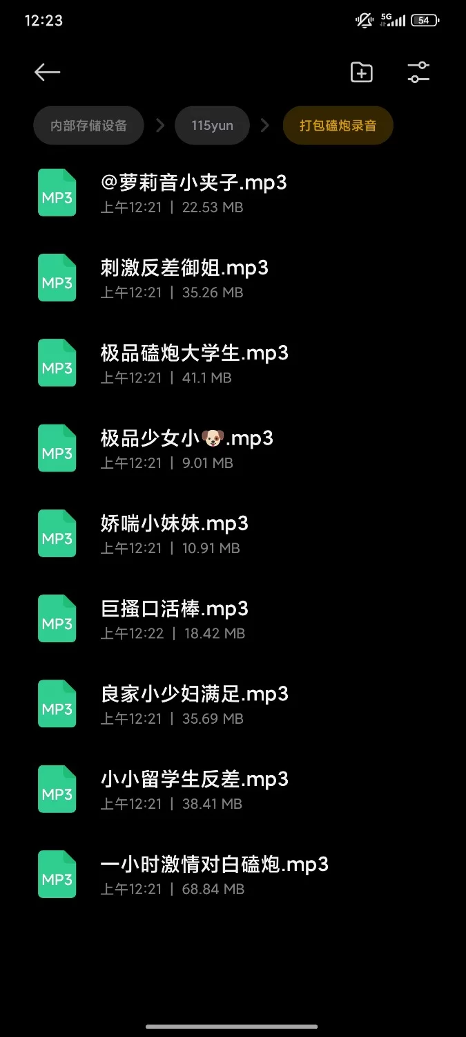 性爱录音 自录磕炮反差小姐姐录音第三弹【9+236m】