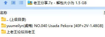 福利姬 yuumeilyn(虞梅) NO.040 Usada Pekora【40P2V+1.48GB】