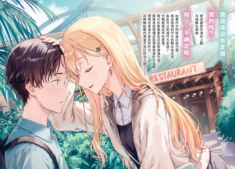 其他 义妹生活1-14卷轻小说【+51M】