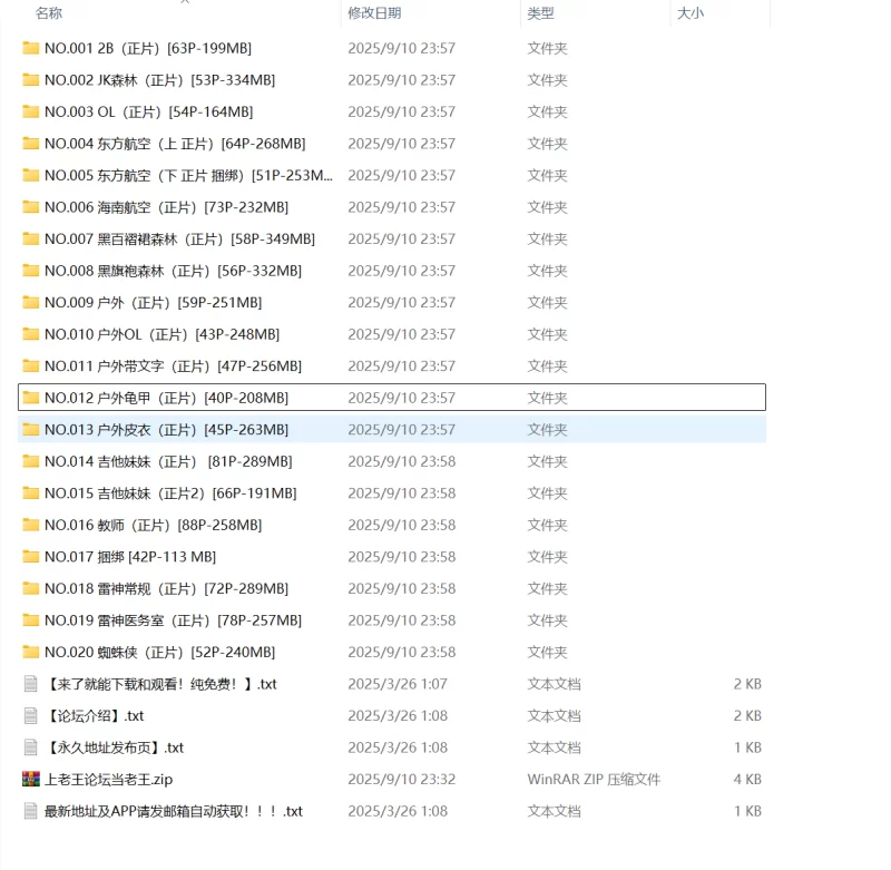 国产模特 极品黑丝诱惑御姐 李佳 原版套图20套【NPNV+4.87GB】