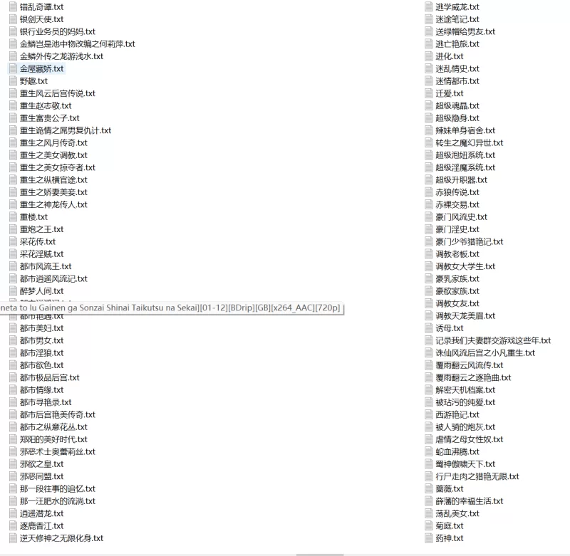 合集 2500本超多经典色情小说全种类大合集【+1G】
