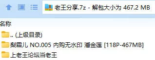 福利姬 梨霜儿 NO.005 秀人内部私人订制 潘金莲【118P+467MB】