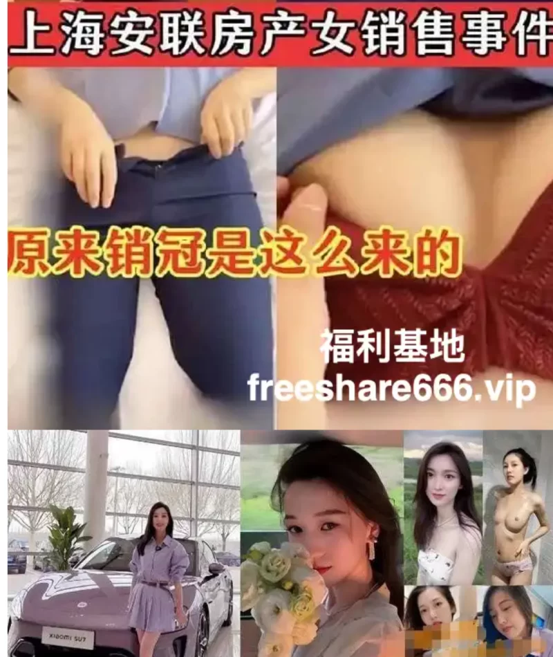 福利姬 女销售的血泪史 用阴唇取悦客户用肉体换业绩流出视图24-25年合集43.6G【1+43.6G】