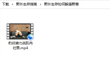 自拍 [1币]「henry_sera」「sarah579」OnlyFans 亨利 豹纹装力战【1V+532M】